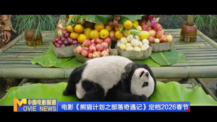 《中国电影报道》第028期（20260128）