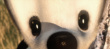 小人物的壯舉