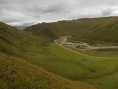 我的高山兀鹫