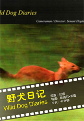 野犬日記