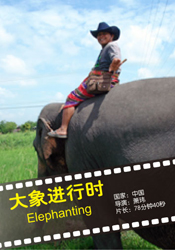 大象進(jìn)行時