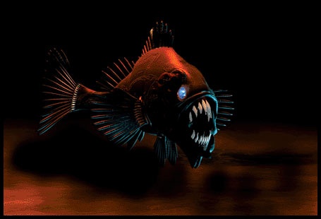 黑色食人鱼 红色图片