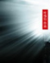 《叶问2》