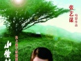 山楂树之恋