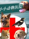 小小動物醫(yī)院