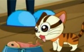 可爱神奇的小猫啦啦究竟是从何方来到主人家做客