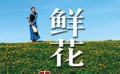 讲述歌伎生活的西部大草原上的绝版《音乐之声》