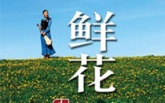 讲述歌伎生活的西部大草原上的绝版《音乐之声》