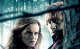 “哈利·波特7”魔法爆发 1.25亿独霸北美票房榜