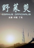 野茱萸