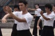 葉問2：宗師傳奇