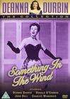 Something in the Wind