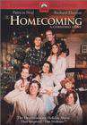 The Homecoming: A Christmas Story