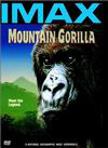 Mountain Gorilla