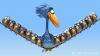 鳥！鳥！鳥！