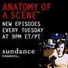 &#34;Anatomy of a Scene&#34;